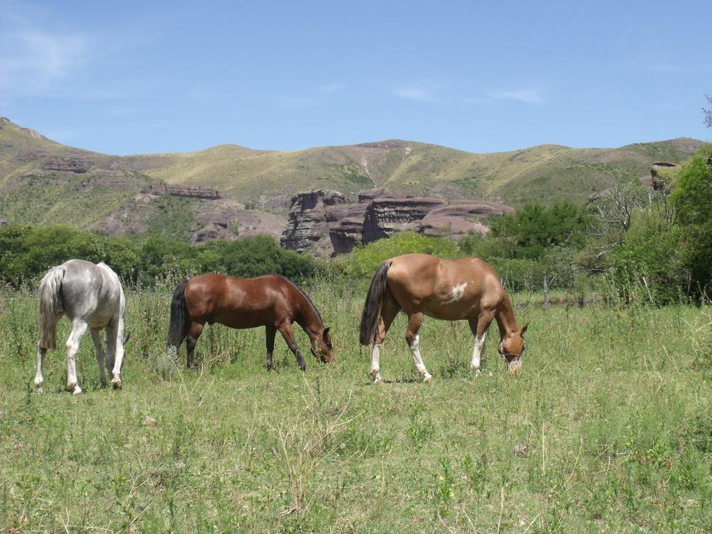 Ongamira Turismo Rural Córdoba Exterior photo