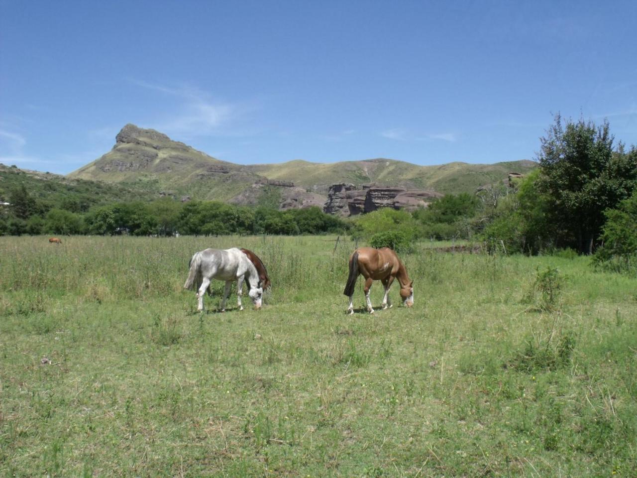 Ongamira Turismo Rural Córdoba Exterior photo